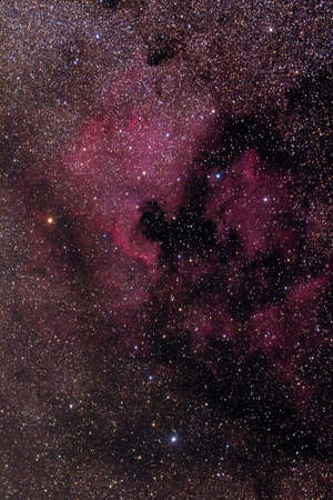 North American Nebula in the Swan Constellationの写真素材