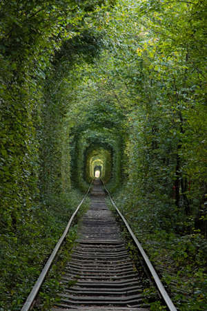 Railway in Forest - The Tunnel of Love at Klevan, Ukraineの写真素材