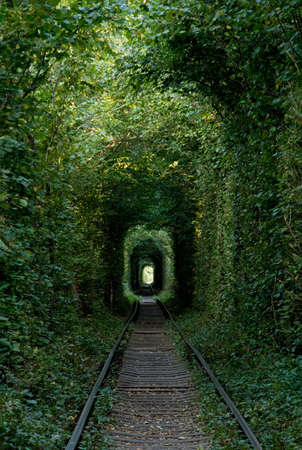 Railway in Forest - The Tunnel of Love at Klevan, Ukraineの写真素材