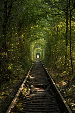 The Tunnel of Love at Klevan, Ukraineの写真素材