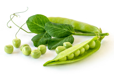 Pea podの写真素材