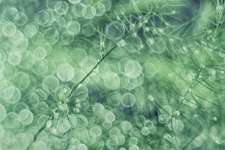 green bokeh nature abstract background with copy space for text or image