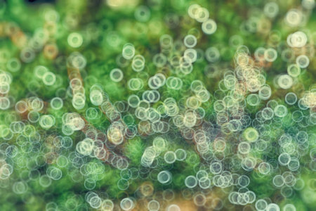 Abstract circular bokeh background of green moss in the forest.
