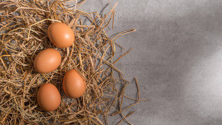 Chicken eggs in a nest of straw on a gray background.