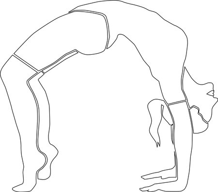 The silhouette of a woman in a yoga pose. A woman does a sports exercise bridge. Illustration of a silhouette with a black line on a white background.のイラスト素材