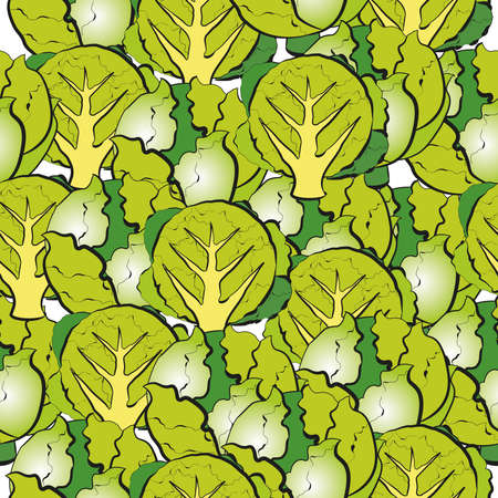 Vector pattern with an illustration of iceberg lettuce. Round head and rocked in the section. Seamless pattern with salad.の写真素材