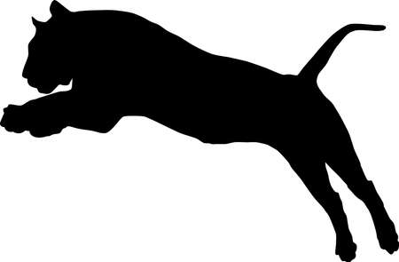 The silhouette of a jumping tiger, isolated on a white background.のイラスト素材