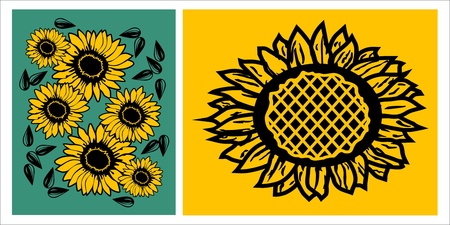 image of sunflower and sunflower seeds, vector illustrationのイラスト素材
