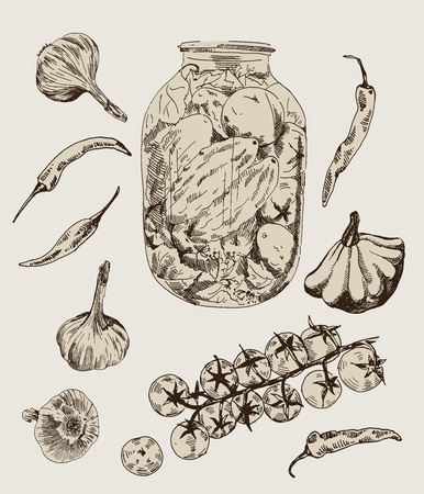 vegetables  collection of vector designs on gray backgroundのイラスト素材
