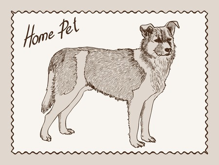 home pet dog. のイラスト素材