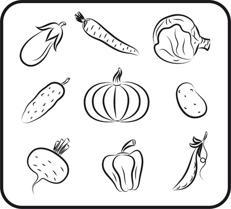 vegetables set sketchesのイラスト素材
