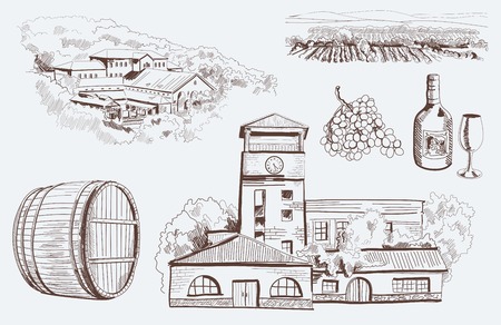 production and tasting homemade wine. のイラスト素材