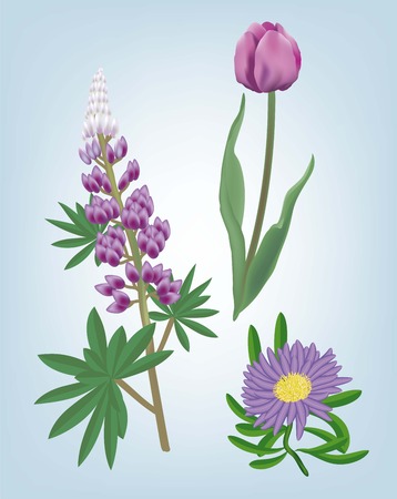 flowers set of sketch on blue backgroundのイラスト素材