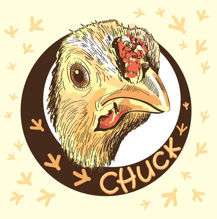 vector sketch of a chicken s head peeking impromptu windowのイラスト素材
