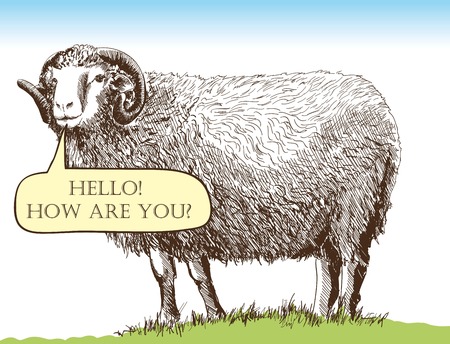 sheep breedingのイラスト素材