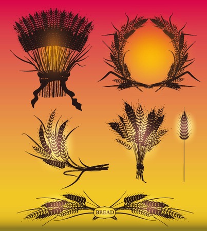 Wheat ears isolated on the golden-red backgroundのイラスト素材