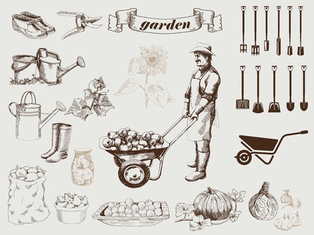 gardener harvests on his farm set of vector sketches on a gray backgroundのイラスト素材