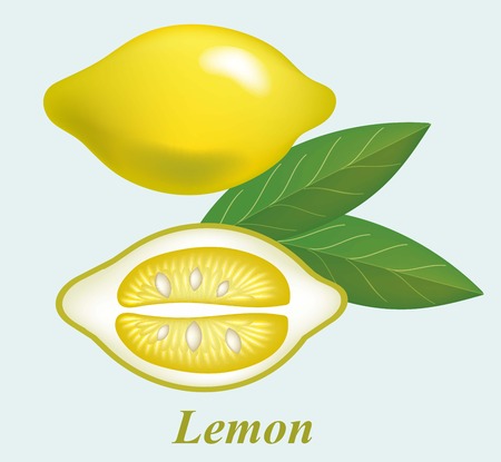illustrations of beautiful yellow lemon fruitsのイラスト素材