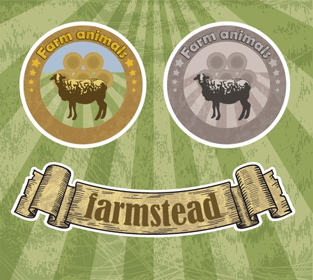 sheep breeding. vector sketch on a green backgroundのイラスト素材