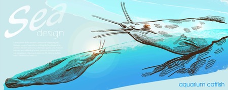 Detailed design of  aquarium  catfish  on sea backgroundのイラスト素材