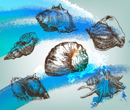 Beautiful group of seashells sketches on background with ocean beachのイラスト素材