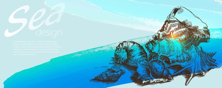 Group of  beautiful seashells in corner of  background with blue  waveのイラスト素材