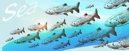 Shoal of  fishes on blue horizontal backgroundのイラスト素材