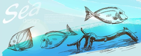 three sea fish on beautiful blue backgroundのイラスト素材