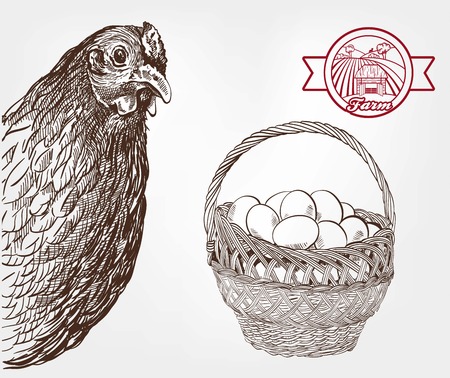 poultry breeding. set of sketches made by handのイラスト素材