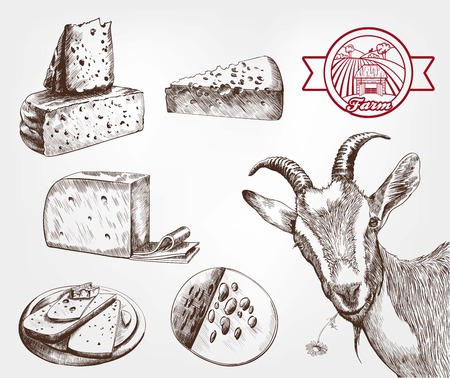 goat breeding. set of sketches made by handのイラスト素材