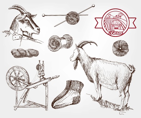 goat breeding. set of sketches made by handのイラスト素材