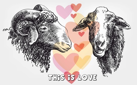 rams head. sketch made by hand on a grey backgroundのイラスト素材