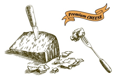 hand drawn sketches of natural cheese on a white backgroundのイラスト素材
