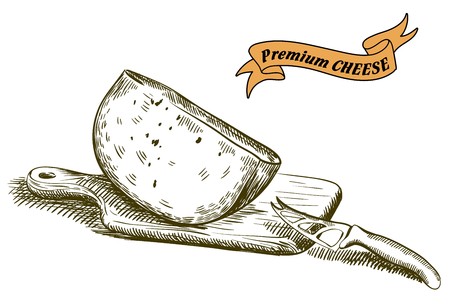 hand drawn sketches of natural cheese on a white backgroundのイラスト素材