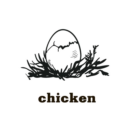 chicken egg to chick hatching. hand drawn sketchのイラスト素材