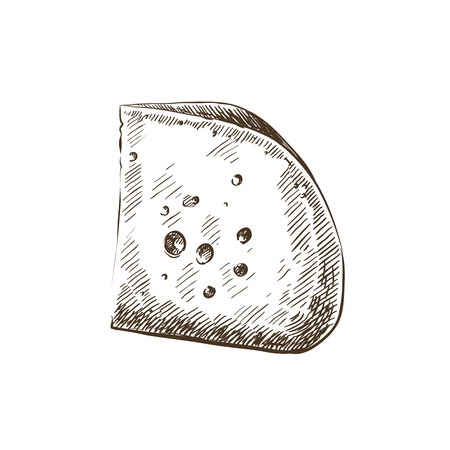 cheese slice. hand drawn sketch on a white backgroundのイラスト素材