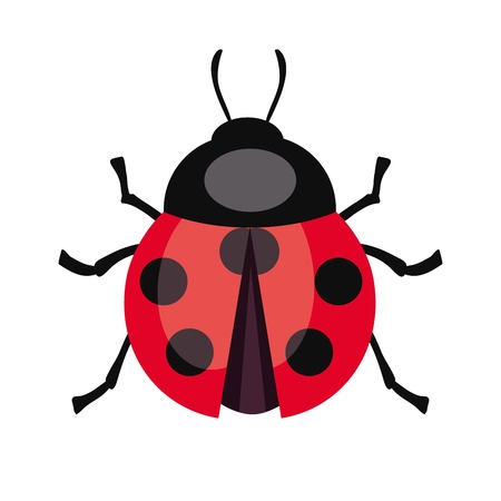 Ladybug insect.のイラスト素材