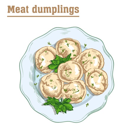 meat dumplings. ravioli. main courses. colored illustration on a white backgroundのイラスト素材
