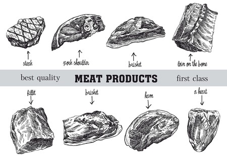 meat products sketchesのイラスト素材