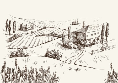 Village houses and farmlandのイラスト素材