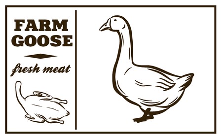 Label of meat products.のイラスト素材