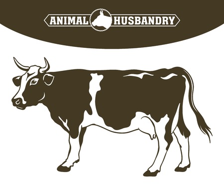 breeding cow. animal husbandry. livestockのイラスト素材
