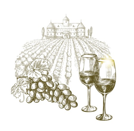 Winemaking .Two glasses of wine and a vine on a vineyard backgroundのイラスト素材