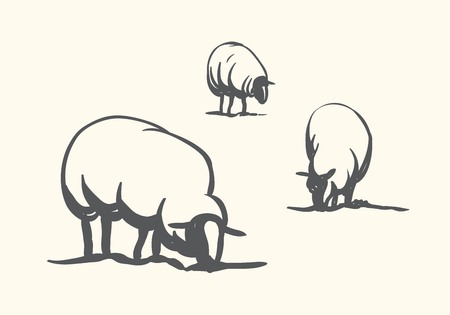 stylized vector illustration of sheep grazing in the fieldのイラスト素材