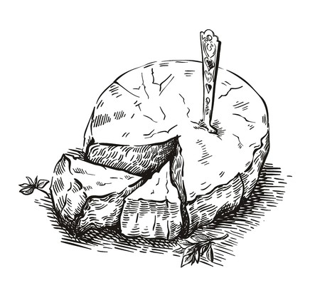 Picture of Camembert cheese and Basil sprigs on white backgroundのイラスト素材