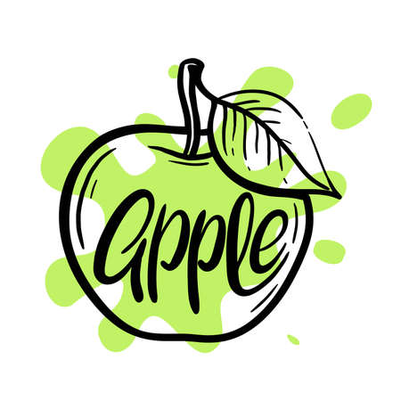 stylized fruits. green apple on white backgroundのイラスト素材