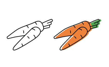 Natural vegetables from the garden. eco products. vector carrot icons in flat style.のイラスト素材