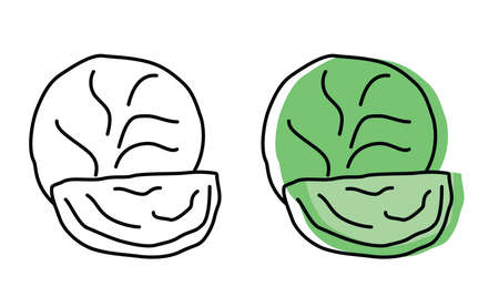 Natural vegetables from the garden. eco products. vector cabbage icons in flat style.のイラスト素材