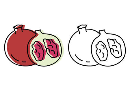 Natural fruits grown on a farm. eco products. vector garnet icons in flat styleのイラスト素材