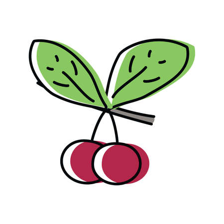 cherry. natural berries. vector illustration in flat style